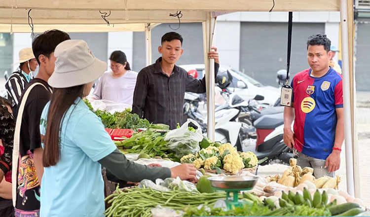 Agri exports touch 12M tonnes, generate over $4B